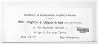 Septoria saponariae image